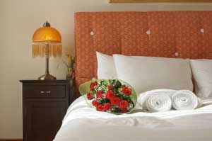Basic double with private facilities (bath), and breakfast